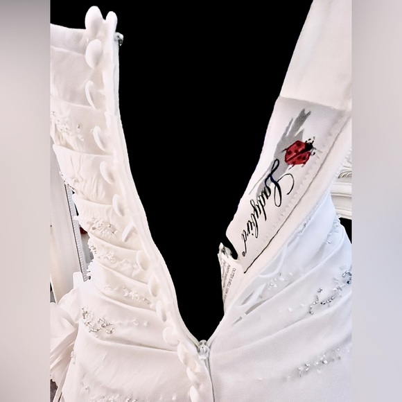 Ladybird Wedding Dress - Picture 6 of 7